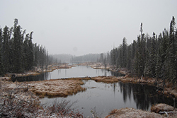 Miniature de Petit matin de printemps