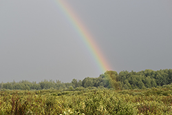 Miniature de Attraper l'arc-en-ciel