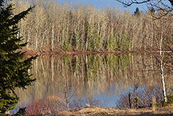 Miniature de Bientôt l'hiver
