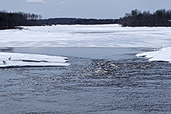 Miniature de Rivière Bell qui se recouvre de glace.